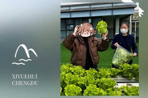 成都月子中心農場主|共享菜地，開啟有機坐月子生活3